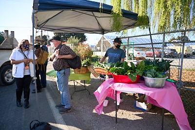 Ally Event: #NoShade: Save The North Richmond Farm:February 18th, 2022