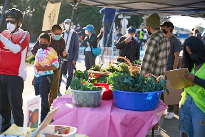 Ally Event: #NoShade: Save The North Richmond Farm:February 18th, 2022