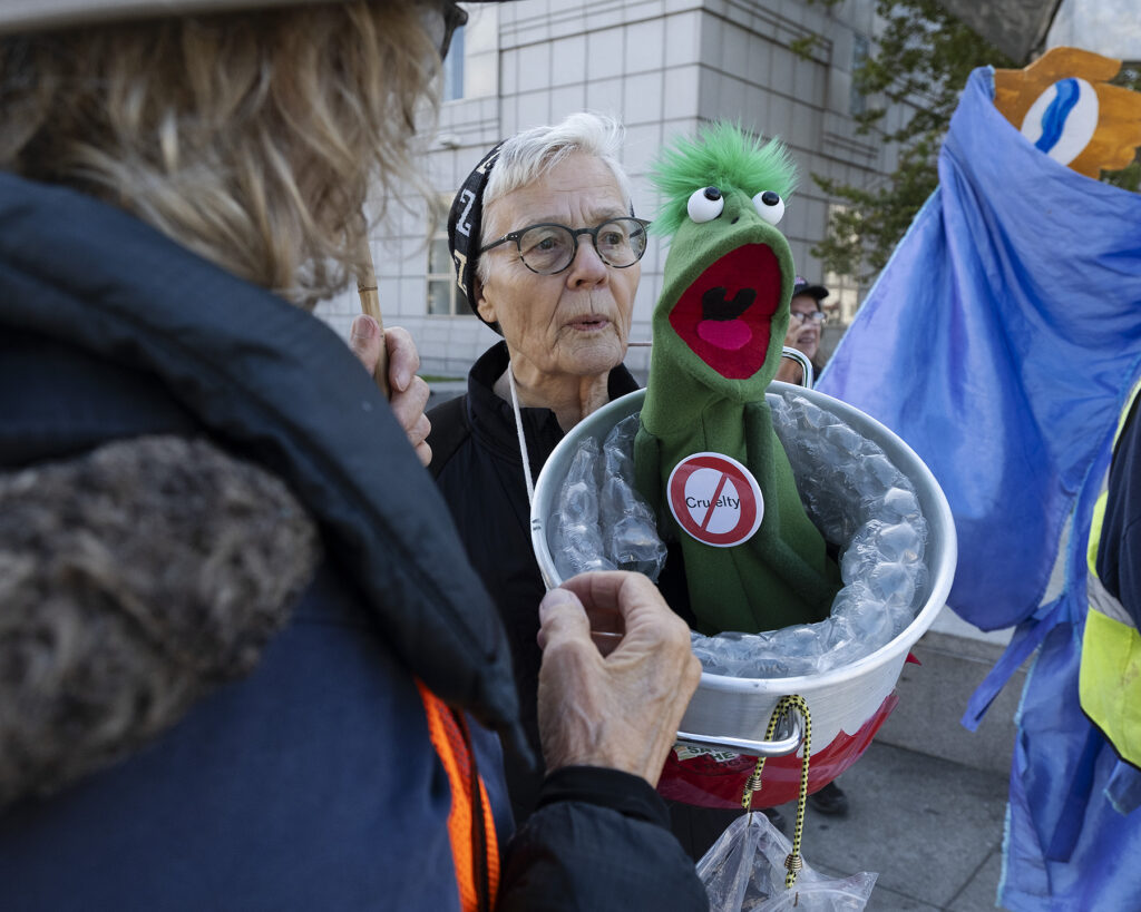 Froggy puppet
Photo: Garrett McLean